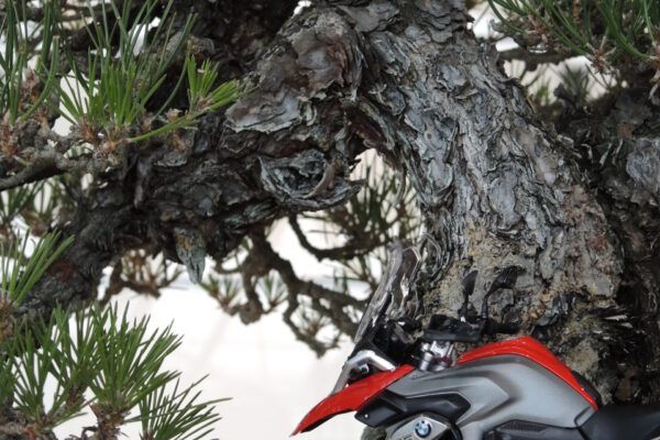 gs 1200 lc
