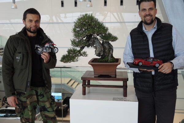 bonsai and motor friends