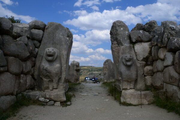 turkey (114) hitties city