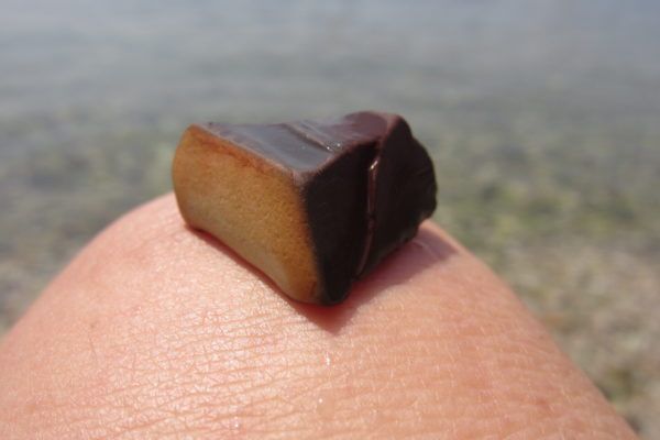 turkey (171) chocolate or stone