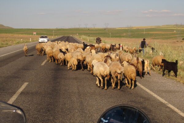 turkey (82) traffic jam