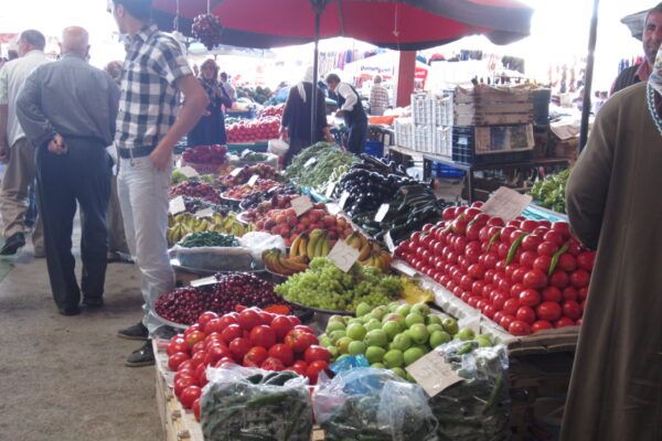 turkey (86) turkey (86)