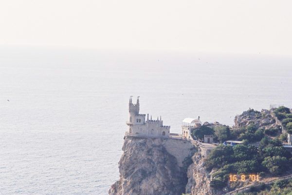 swallow's nest