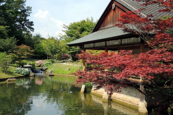 Japan in belgium