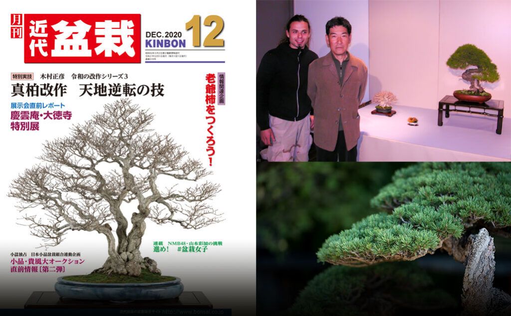 kibon bonsai magazine full interview