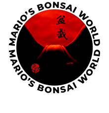 logo Marios Bonsai World